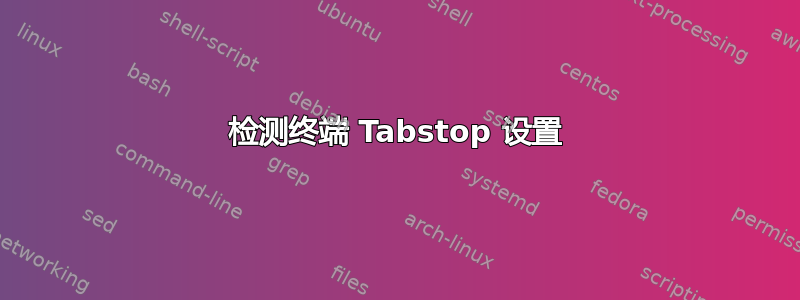 检测终端 Tabstop 设置