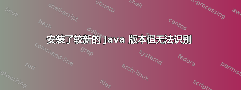 安装了较新的 Java 版本但无法识别