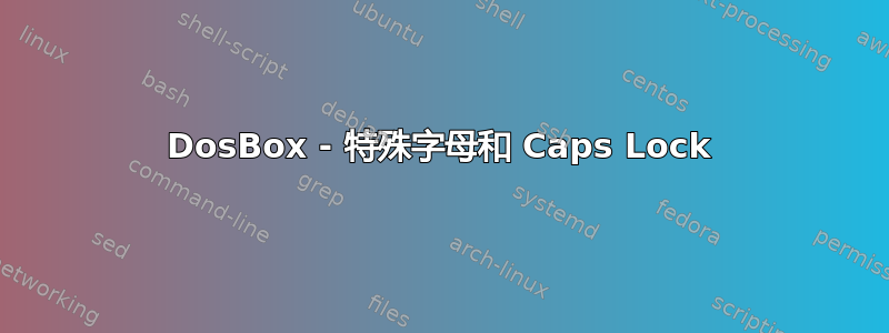 DosBox - 特殊字母和 Caps Lock