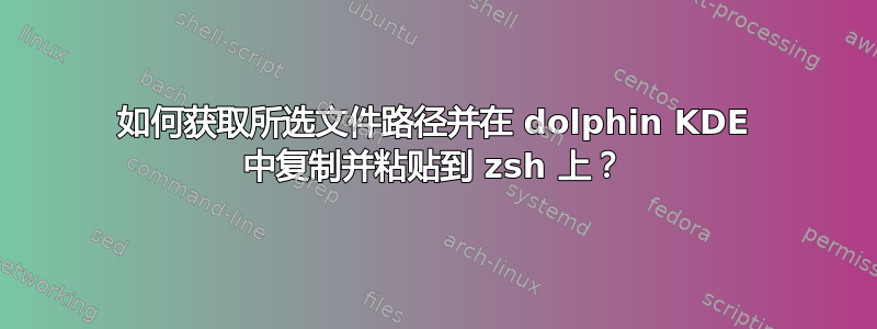 如何获取所选文件路径并在 dolphin KDE 中复制并粘贴到 zsh 上？