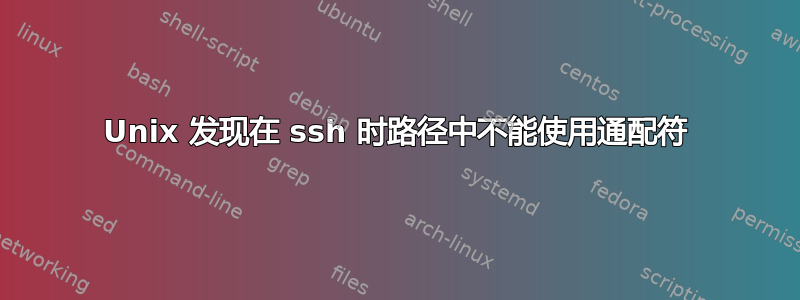 Unix 发现在 ssh 时路径中不能使用通配符