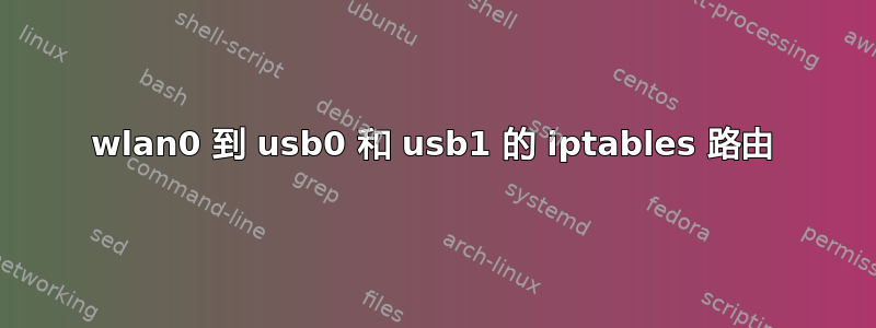 wlan0 到 usb0 和 usb1 的 iptables 路由