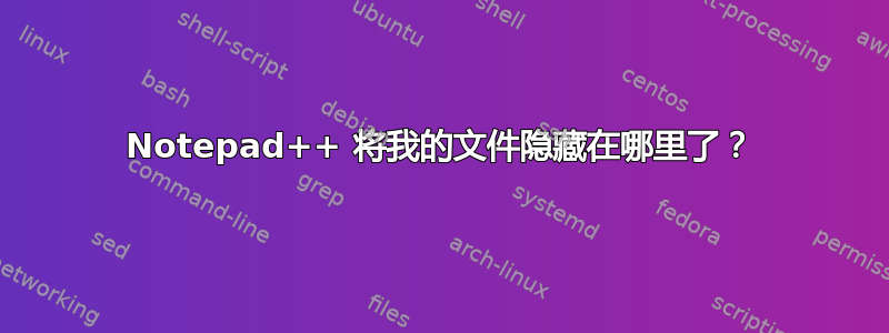 Notepad++ 将我的文件隐藏在哪里了？