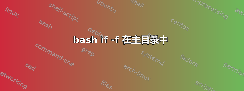 bash if -f 在主目录中