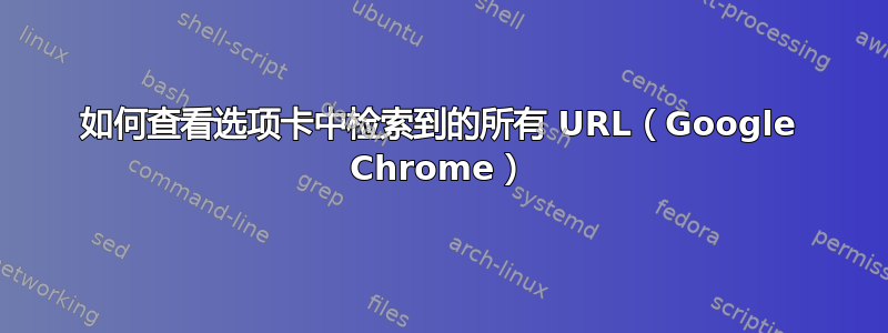 如何查看选项卡中检索到的所有 URL（Google Chrome）