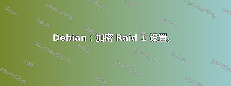 Debian：加密 Raid 1 设置。