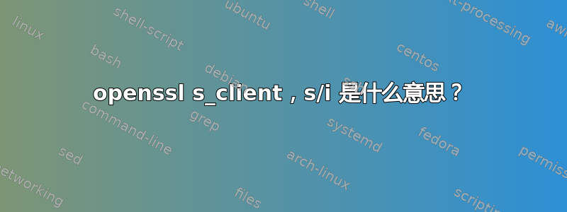 openssl s_client，s/i 是什么意思？