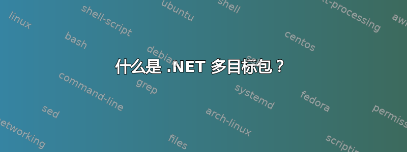 什么是 .NET 多目标包？