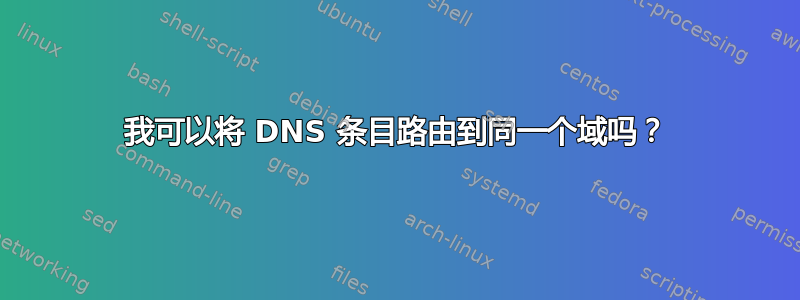 我可以将 DNS 条目路由到同一个域吗？