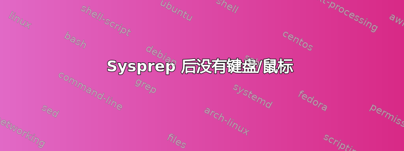 Sysprep 后没有键盘/鼠标