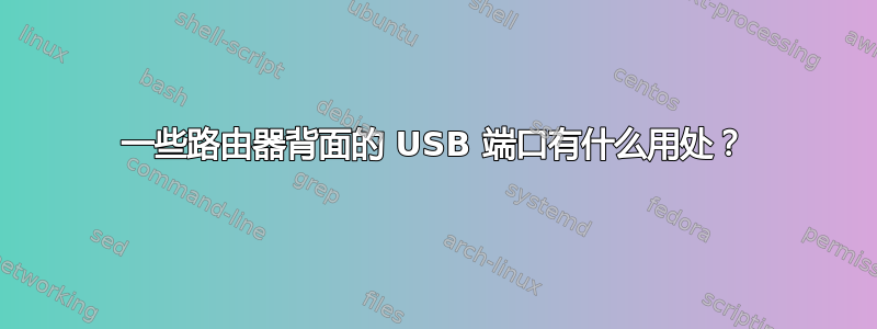 一些路由器背面的 USB 端口有什么用处？