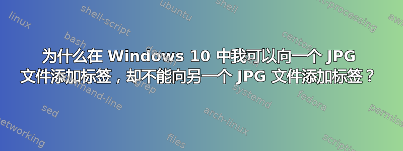 为什么在 Windows 10 中我可以向一个 JPG 文件添加标签，却不能向另一个 JPG 文件添加标签？