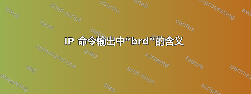 IP 命令输出中“brd”的含义