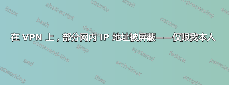 在 VPN 上，部分网内 IP 地址被屏蔽——仅限我本人