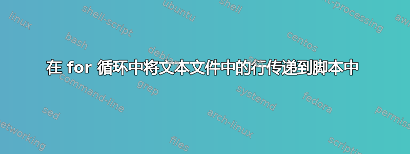 在 for 循环中将文本文件中的行传递到脚本中