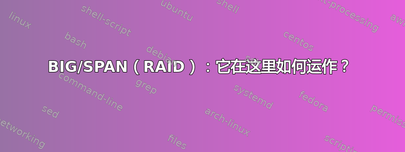 BIG/SPAN（RAID）：它在这里如何运作？