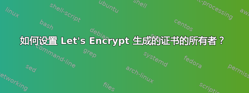 如何设置 Let's Encrypt 生成的证书的所有者？