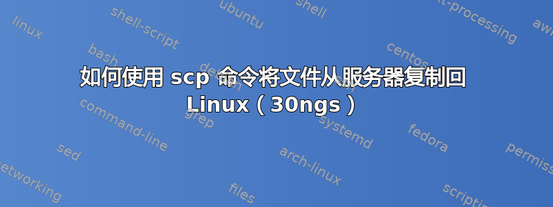 如何使用 scp 命令将文件从服务器复制回 Linux（30ngs）