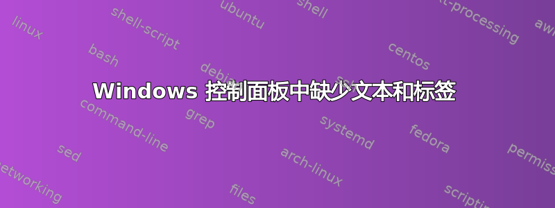 Windows 控制面板中缺少文本和标签