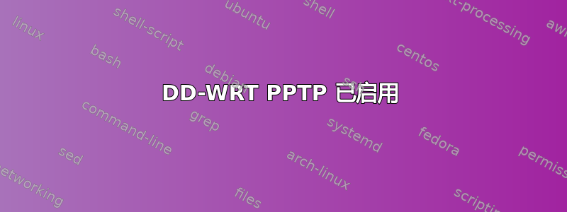 DD-WRT PPTP 已启用