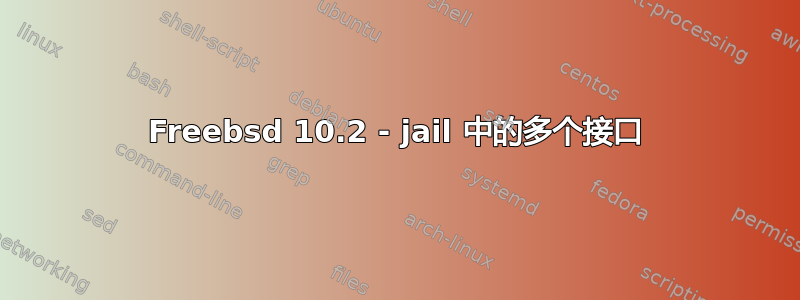 Freebsd 10.2 - jail 中的多个接口