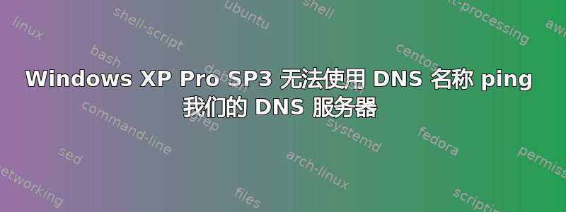 Windows XP Pro SP3 无法使用 DNS 名称 ping 我们的 DNS 服务器