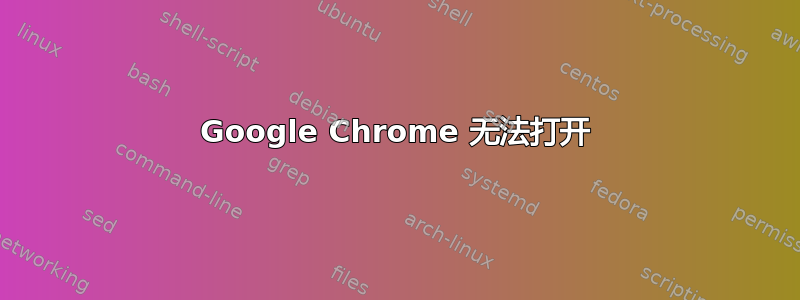 Google Chrome 无法打开