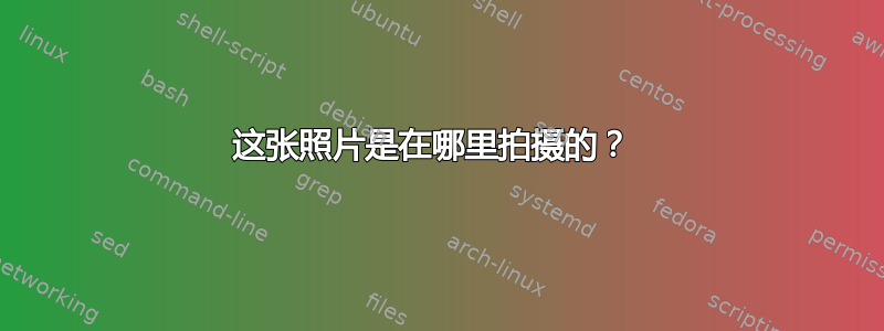 这张照片是在哪里拍摄的？ 