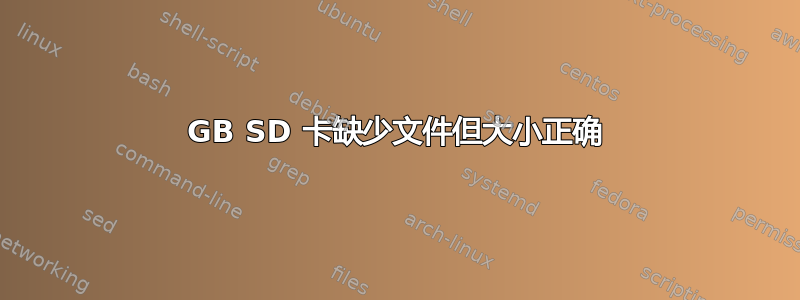 64GB SD 卡缺少文件但大小正确