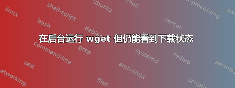 在后台运行 wget 但仍能看到下载状态