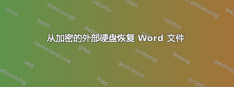 从加密的外部硬盘恢复 Word 文件