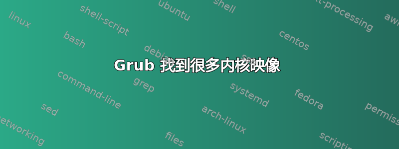 Grub 找到很多内核映像