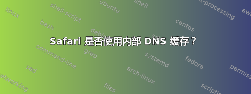 Safari 是否使用内部 DNS 缓存？