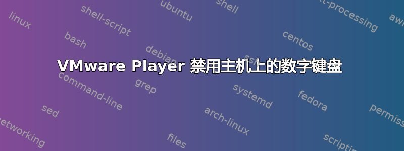 VMware Player 禁用主机上的数字键盘