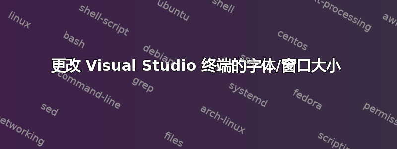 更改 Visual Studio 终端的字体/窗口大小