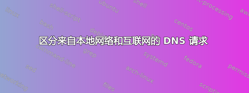 区分来自本地网络和互联网的 DNS 请求