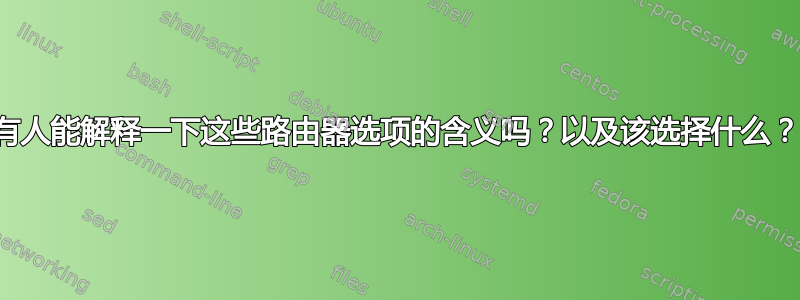 有人能解释一下这些路由器选项的含义吗？以及该选择什么？