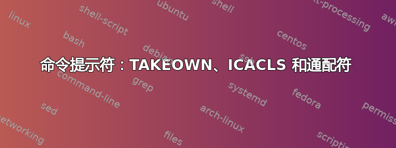 命令提示符：TAKEOWN、ICACLS 和通配符