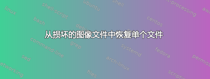 从损坏的图像文件中恢复单个文件