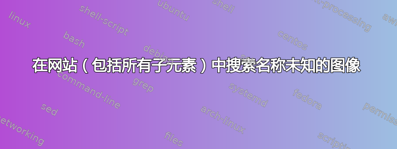 在网站（包括所有子元素）中搜索名称未知的图像