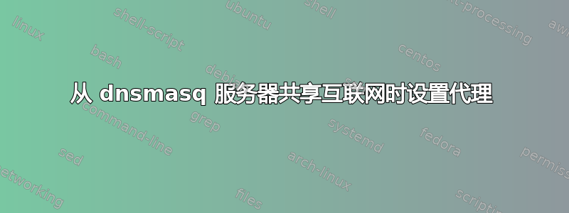 从 dnsmasq 服务器共享互联网时设置代理