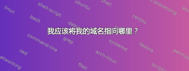 我应该将我的域名指向哪里？