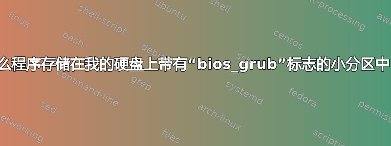 什么程序存储在我的硬盘上带有“bios_grub”标志的小分区中？