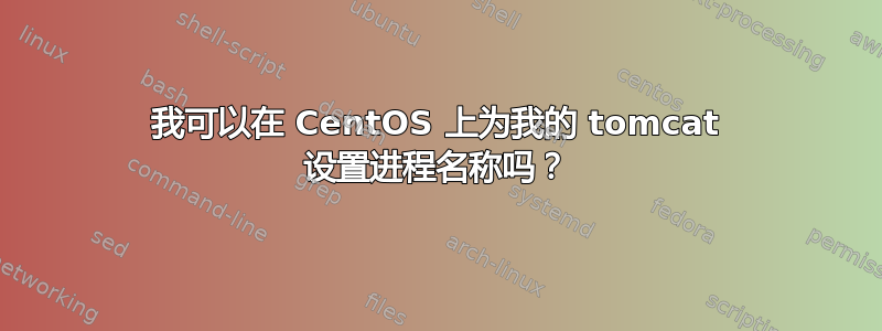 我可以在 CentOS 上为我的 tomcat 设置进程名称吗？