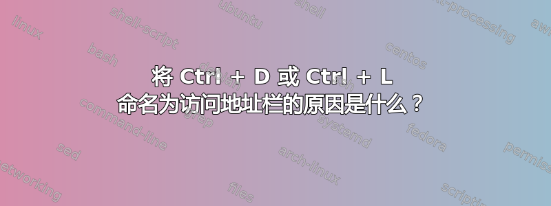 将 Ctrl + D 或 Ctrl + L 命名为访问地址栏的原因是什么？