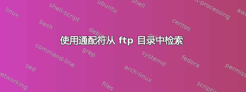 使用通配符从 ftp 目录中检索