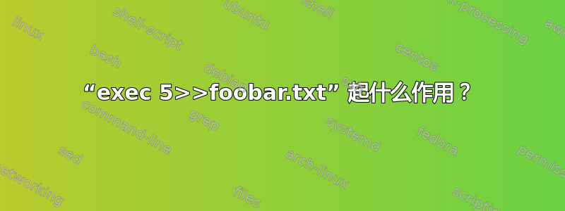 “exec 5>>foobar.txt” 起什么作用？