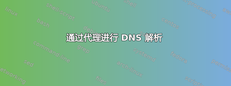 通过代理进行 DNS 解析