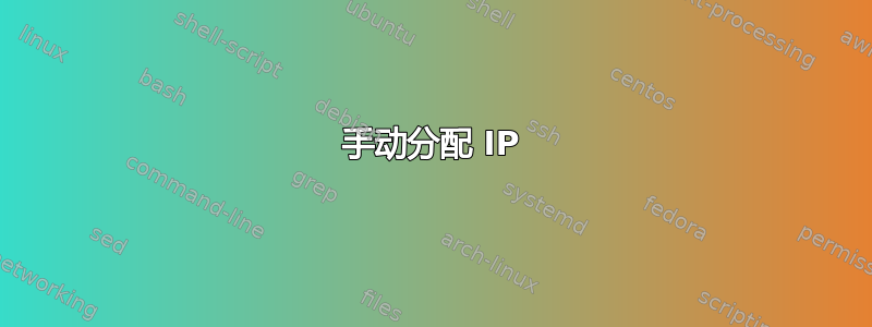 手动分配 IP