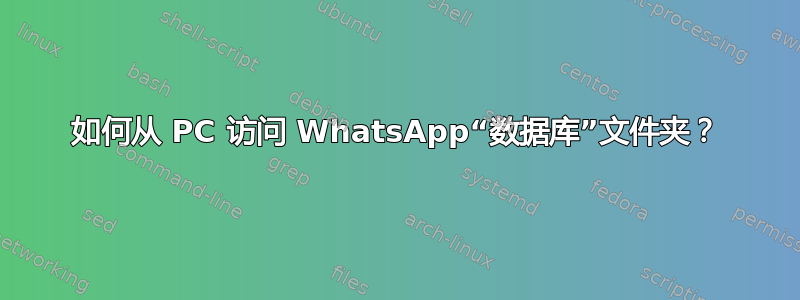 如何从 PC 访问 WhatsApp“数据库”文件夹？